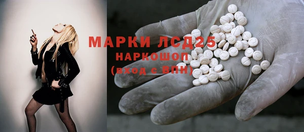 стафф Новозыбков