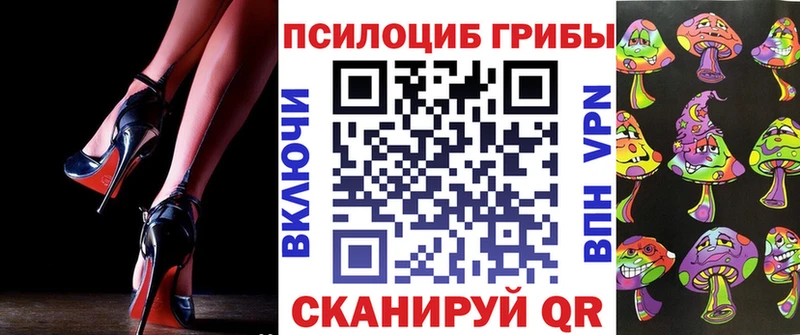 kraken ССЫЛКА Невьянск Галлюциногенные грибы мицелий что такое